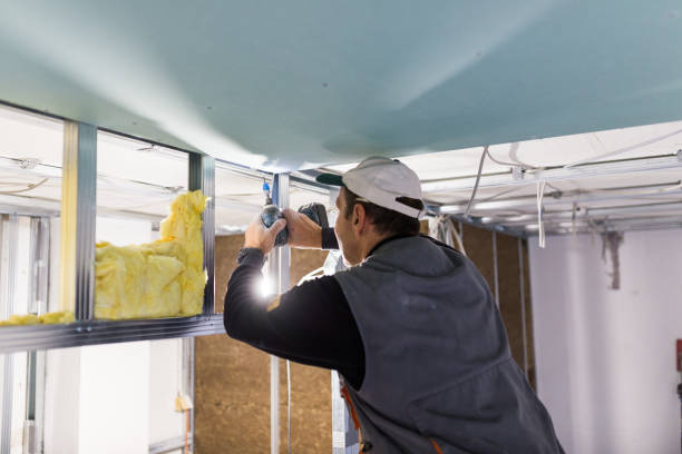 Best Insulation Maintenance and Repair in Larned, KS