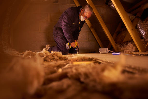 Best Eco-Friendly Insulation in Larned, KS